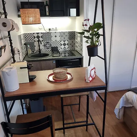 Apartment Lyon Montchat Refait A Neuf Climatise Et Parking Prive
