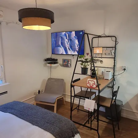 Appartamento Lyon Montchat Refait A Neuf Climatisation Et Parking Prive Villeurbanne